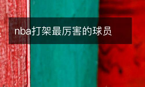 nba打架最厲害的球員