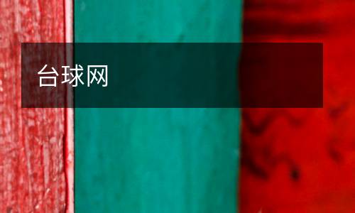 臺(tái)球網(wǎng)