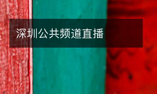 深圳公共頻道直播