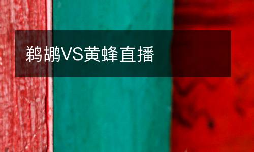 鵜鶘VS黃蜂直播