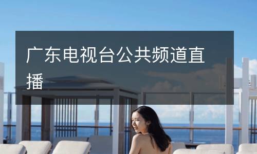 廣東電視臺(tái)公共頻道直播
